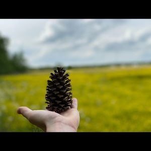 Meet your Posher, Patrick